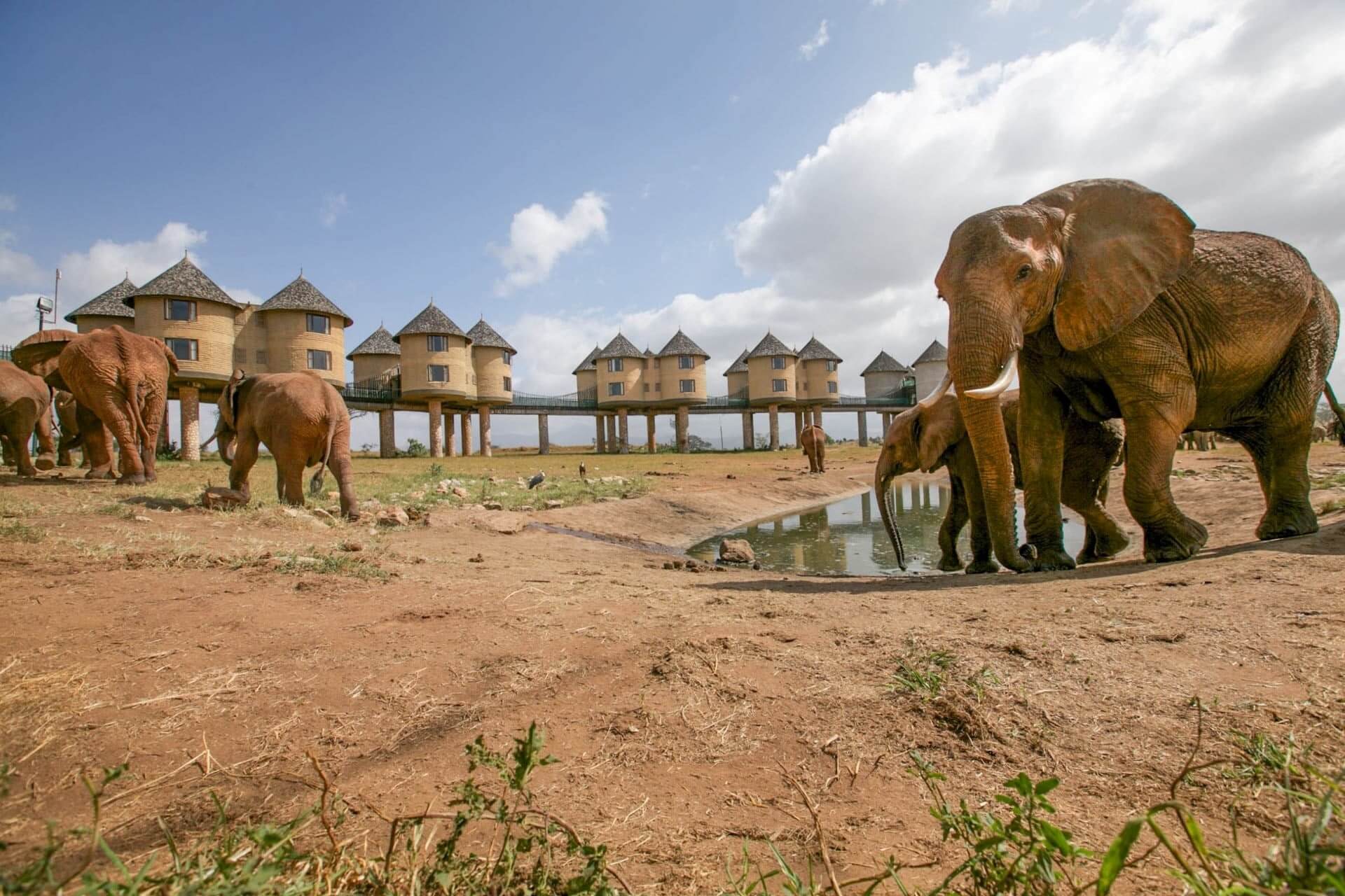 kenya