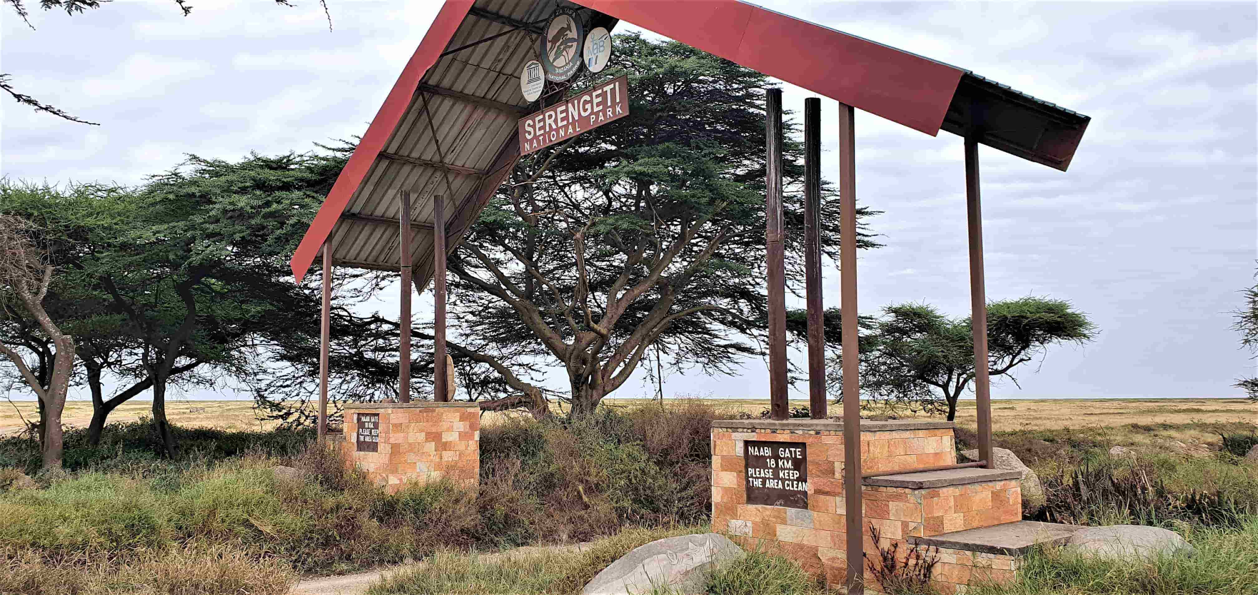 Maasai Mara & Serengeti Safari: Cormorant Tours and Travel Safaris